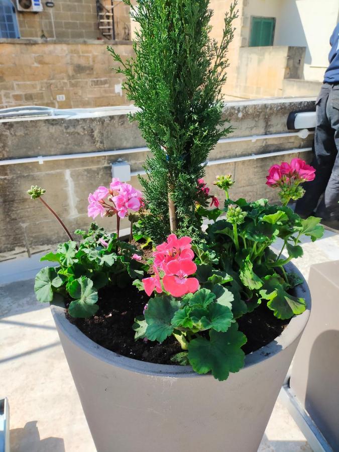 Gozo Rustic With Stunning Views And Swimming Pool بيت للعطل سانّات