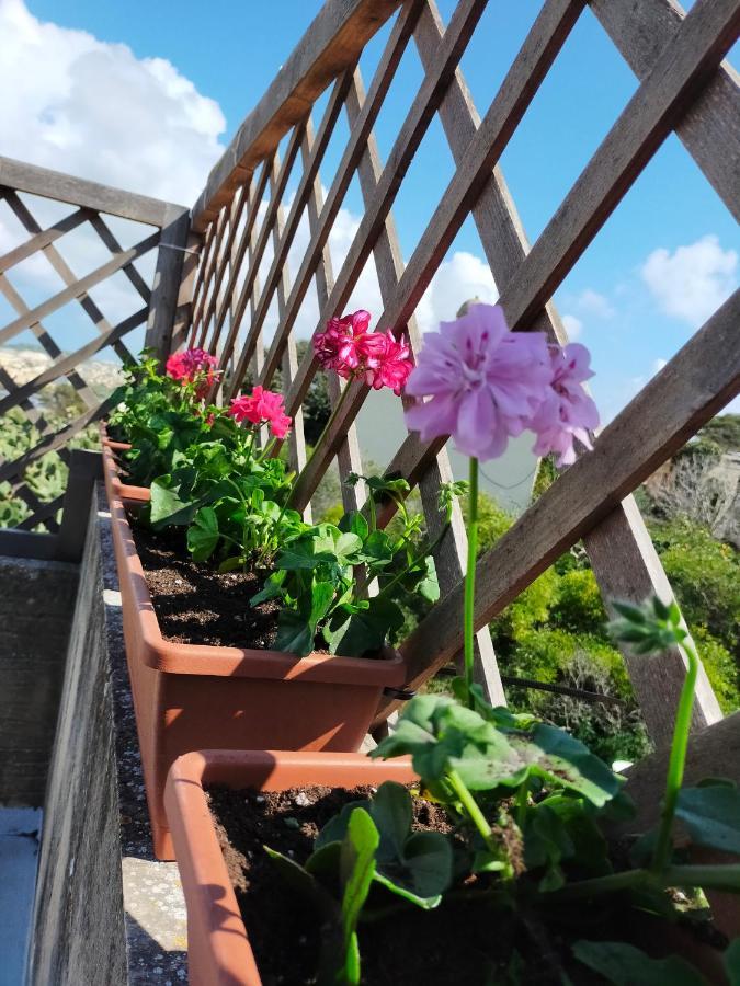 Gozo Rustic With Stunning Views And Swimming Pool سانّات