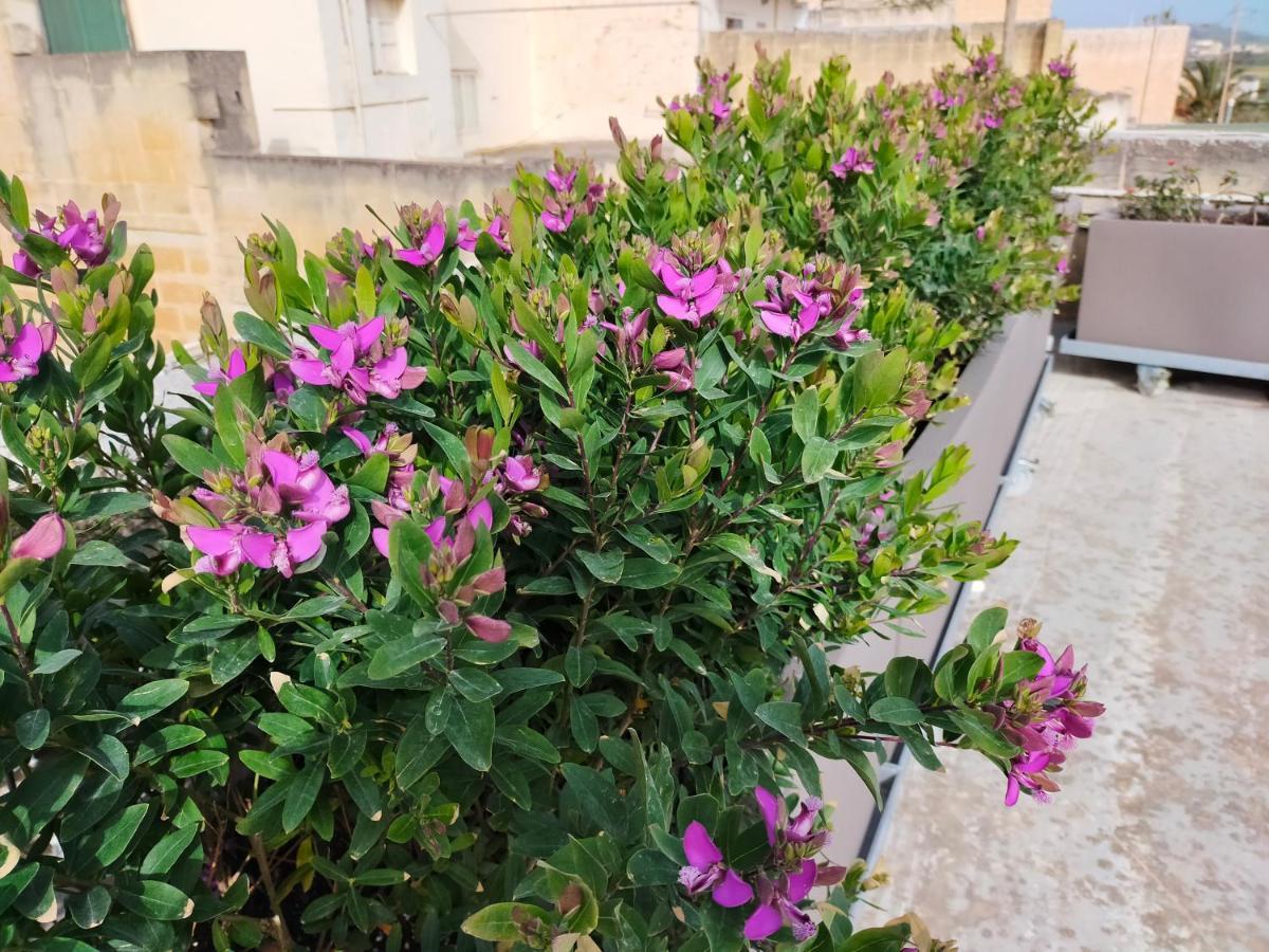 بيت للعطل Gozo Rustic With Stunning Views And Swimming Pool *